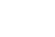 Logo Braesi